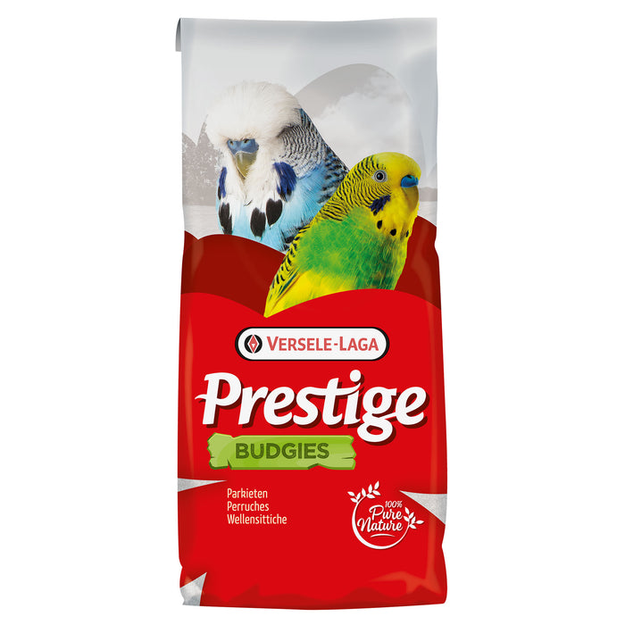 VL Budgie Prestige