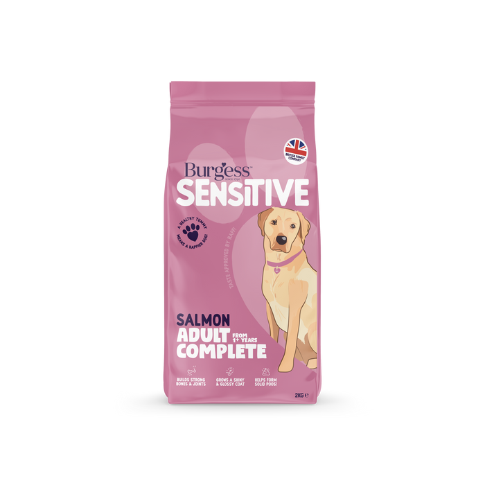 Burgess Sensitive Dog Salmon & Rice