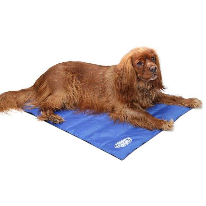 Scruffs Cool Mat Blue 77x62cm