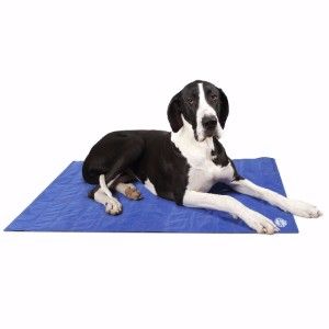 Scruffs Cool Mat Blue 120x75cm