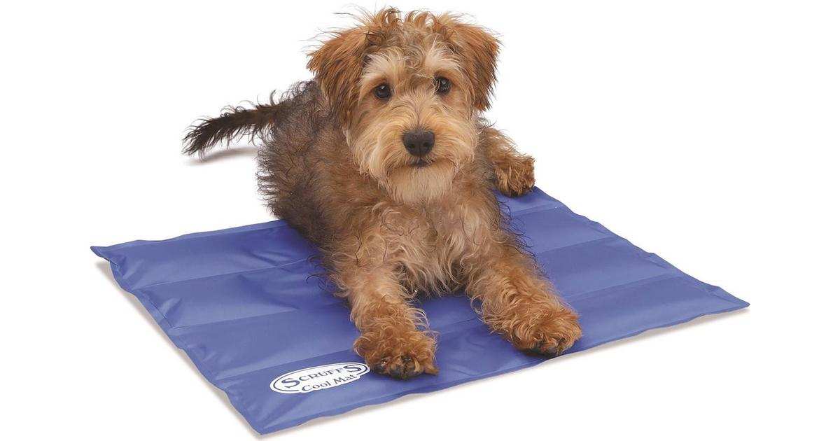 Scruffs Cool Mat Blue 50x40cm