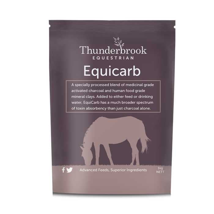 Thunderbrook Equicarb