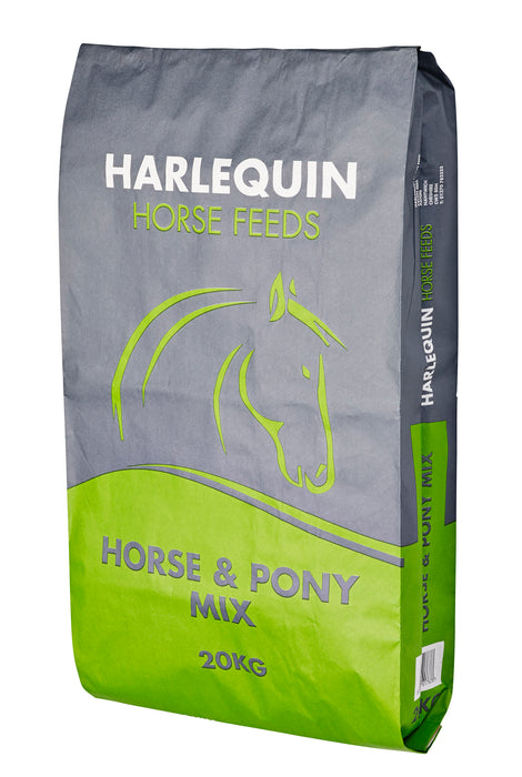 Harlequin Horse & Pony Mix