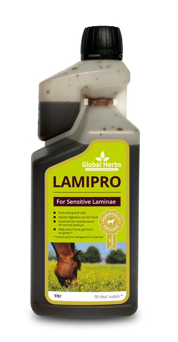 Global H LamiPro Liquid