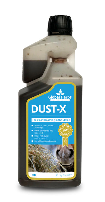 Global H Dust-X Syrup