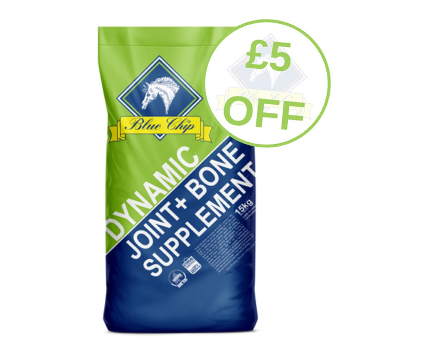 Blue Chip Dynamic £5 off