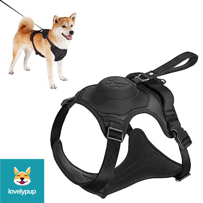 Black Lovely Pup Dog_Harness_with_inbuilt_lead