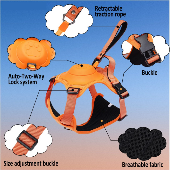 Overview of the LovelyPup Dog Harness