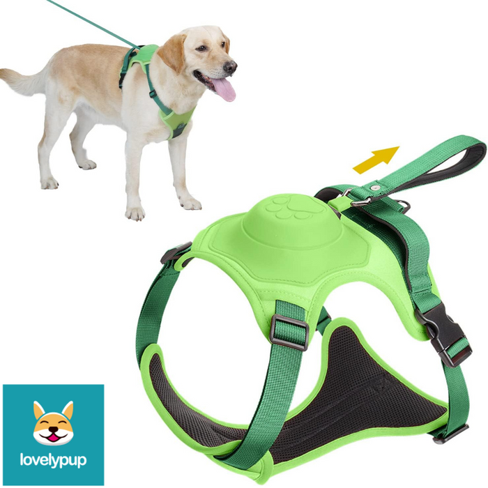 Green Dog Harness Lovely Pup Dog_Harness_with_inbuilt_lead