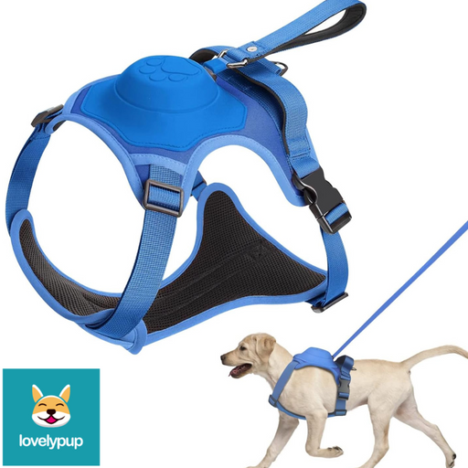 Blue Lovely Pup Dog_Harness_with_inbuilt_lead