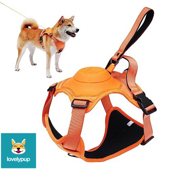 LovelyPup.com Dog Harness and Leash in one