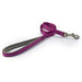 Ancol Viva Padded Snap Lead Purple 12mmAncolLovelyPup.com