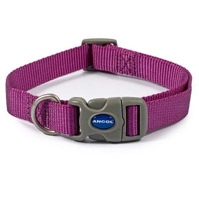 Ancol Viva Quick Fit Collar Purp30-50cmAncolLovelyPup.com