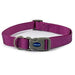 Ancol Viva Quick Fit Collar Purp45-70cmAncolLovelyPup.com