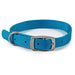 Ancol Viva Buckle Collar Blue 26-31cmAncolLovelyPup.com