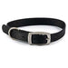 Ancol Viva Buckle Collar Black 20-26cmAncolLovelyPup.com