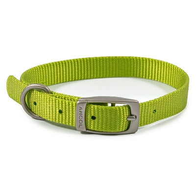 Ancol Viva Buckle Collar Lime 26-31cm