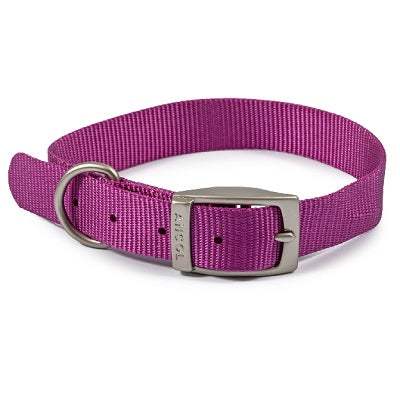 Ancol Viva Buckle Collar Purple 35-43cmAncolLovelyPup.com