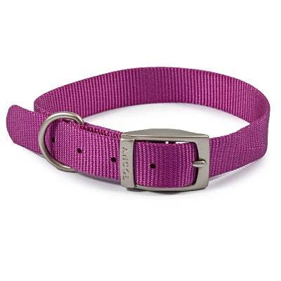 Ancol Viva Buckle Collar Purple 28-36cmAncolLovelyPup.com