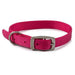 Ancol Viva Buckle Collar Pink 20-26cmAncolLovelyPup.com