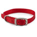 Ancol Viva Buckle Collar Red 20-26cmAncolLovelyPup.com