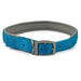 Ancol Viva Pad Buc Collar Blue 45-54cmAncolLovelyPup.com