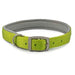 Ancol Viva Pad Buc Collar Lime 39-48cmAncolLovelyPup.com