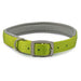 Ancol Viva Pad Buc Collar Lime 50-59cmAncolLovelyPup.com