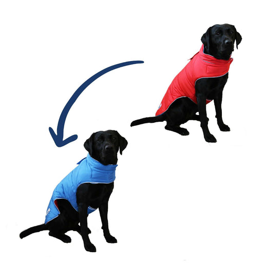 Ancol Viva Reversible Coat Red/Blue 25cmAncolLovelyPup.com