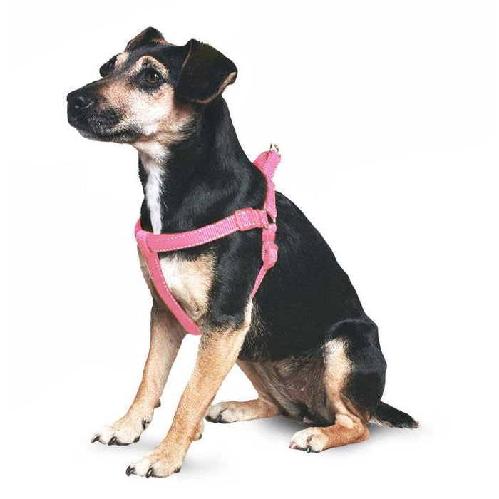 Ancol Nyl Padded Harness Refl Rasp 4-6AncolLovelyPup.com